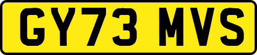 GY73MVS