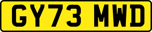 GY73MWD