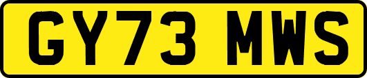 GY73MWS