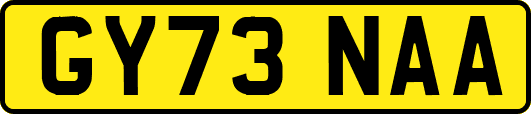 GY73NAA