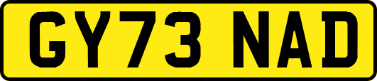 GY73NAD