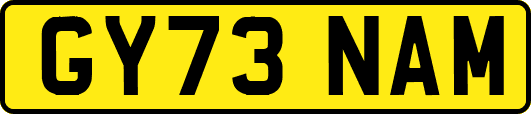 GY73NAM