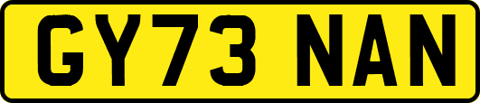 GY73NAN