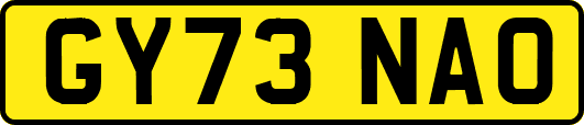 GY73NAO