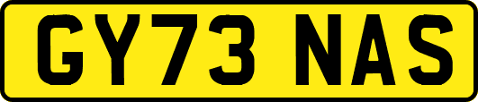 GY73NAS