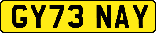 GY73NAY