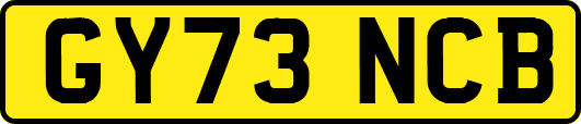 GY73NCB