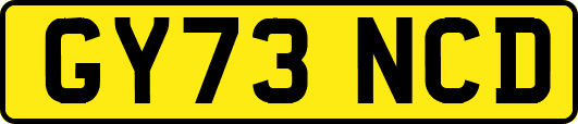 GY73NCD