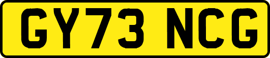 GY73NCG