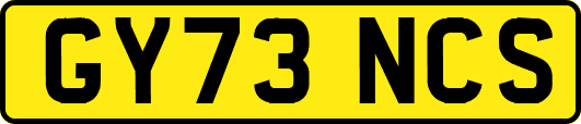 GY73NCS