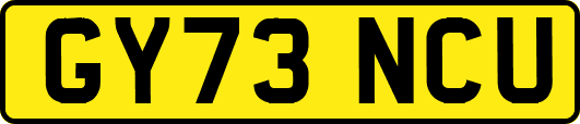 GY73NCU