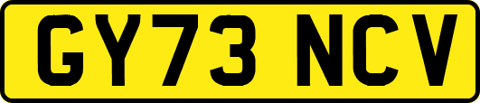 GY73NCV