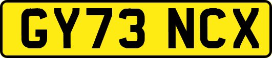 GY73NCX