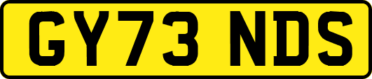 GY73NDS
