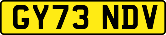GY73NDV
