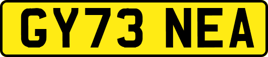 GY73NEA