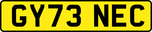 GY73NEC