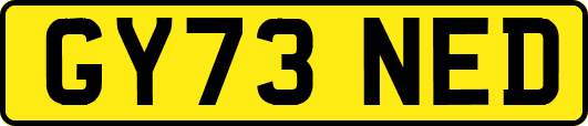GY73NED