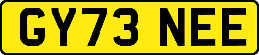 GY73NEE
