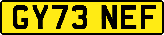 GY73NEF