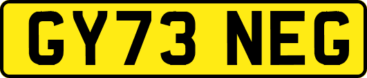 GY73NEG