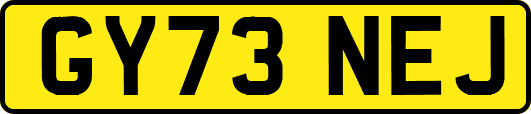 GY73NEJ