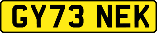 GY73NEK