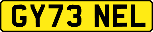 GY73NEL