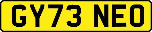GY73NEO