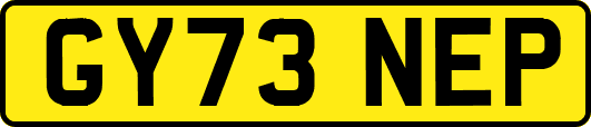 GY73NEP