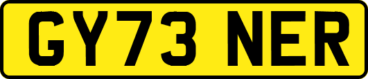 GY73NER