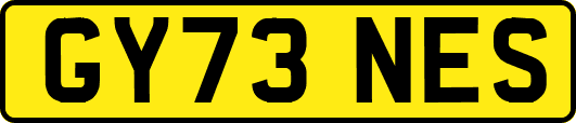 GY73NES