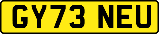 GY73NEU