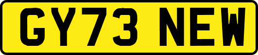 GY73NEW
