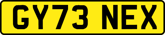 GY73NEX