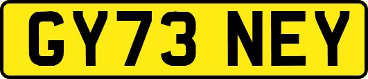 GY73NEY