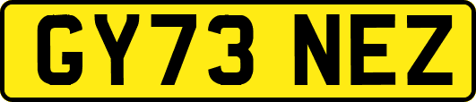 GY73NEZ
