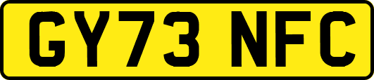 GY73NFC