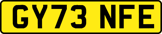 GY73NFE