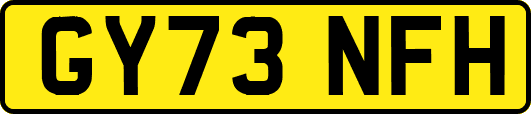 GY73NFH