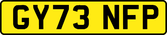 GY73NFP