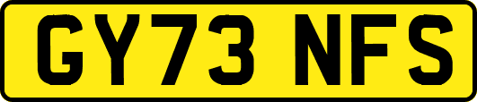GY73NFS