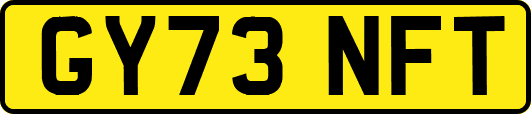 GY73NFT