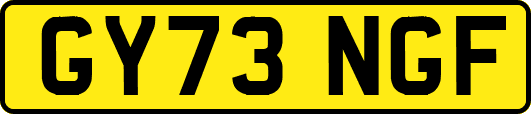 GY73NGF