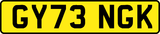 GY73NGK