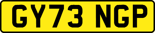 GY73NGP