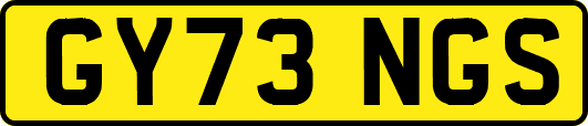 GY73NGS