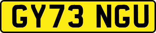 GY73NGU