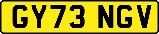GY73NGV