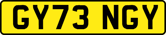 GY73NGY